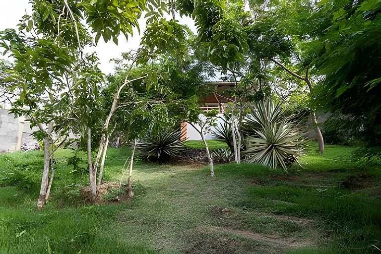 Maravilhosa Vista em Geribá