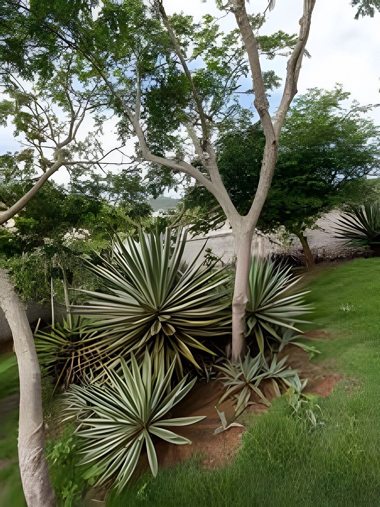 Maravilhosa Vista em Geribá